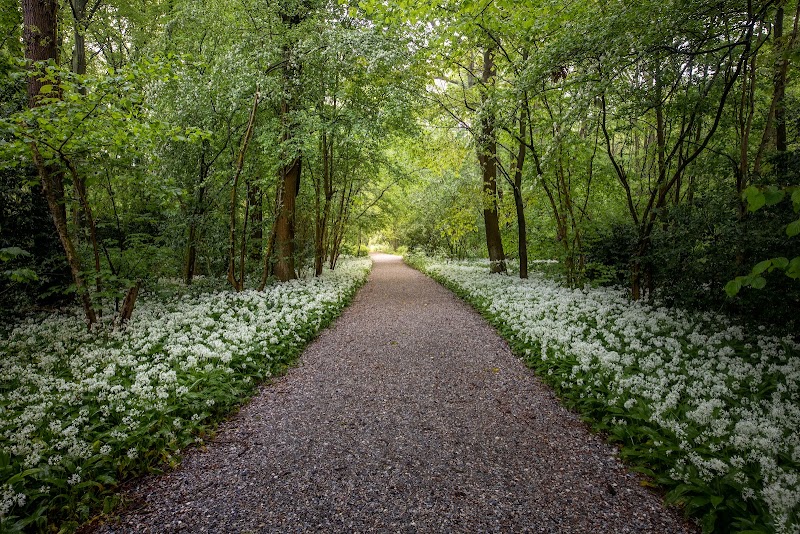 Leidse Hout - Leidse Hout, Houtlaan, 2334 AG Leiden, Netherlands