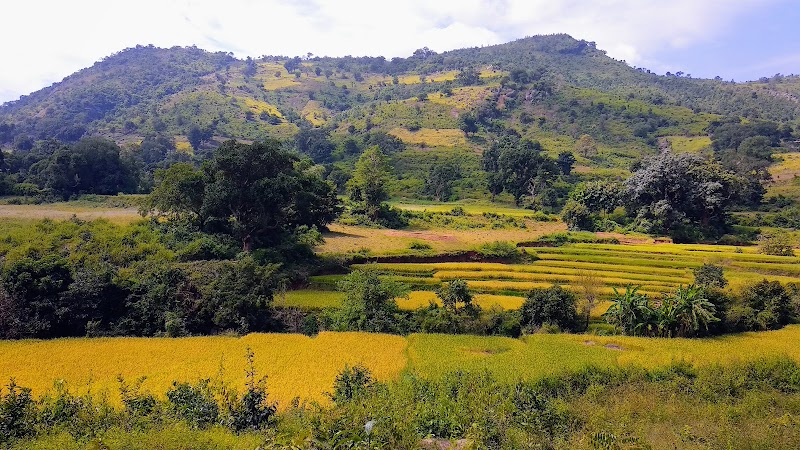 Araku Valley - Araku Valley, Andhra Pradesh 531151, India