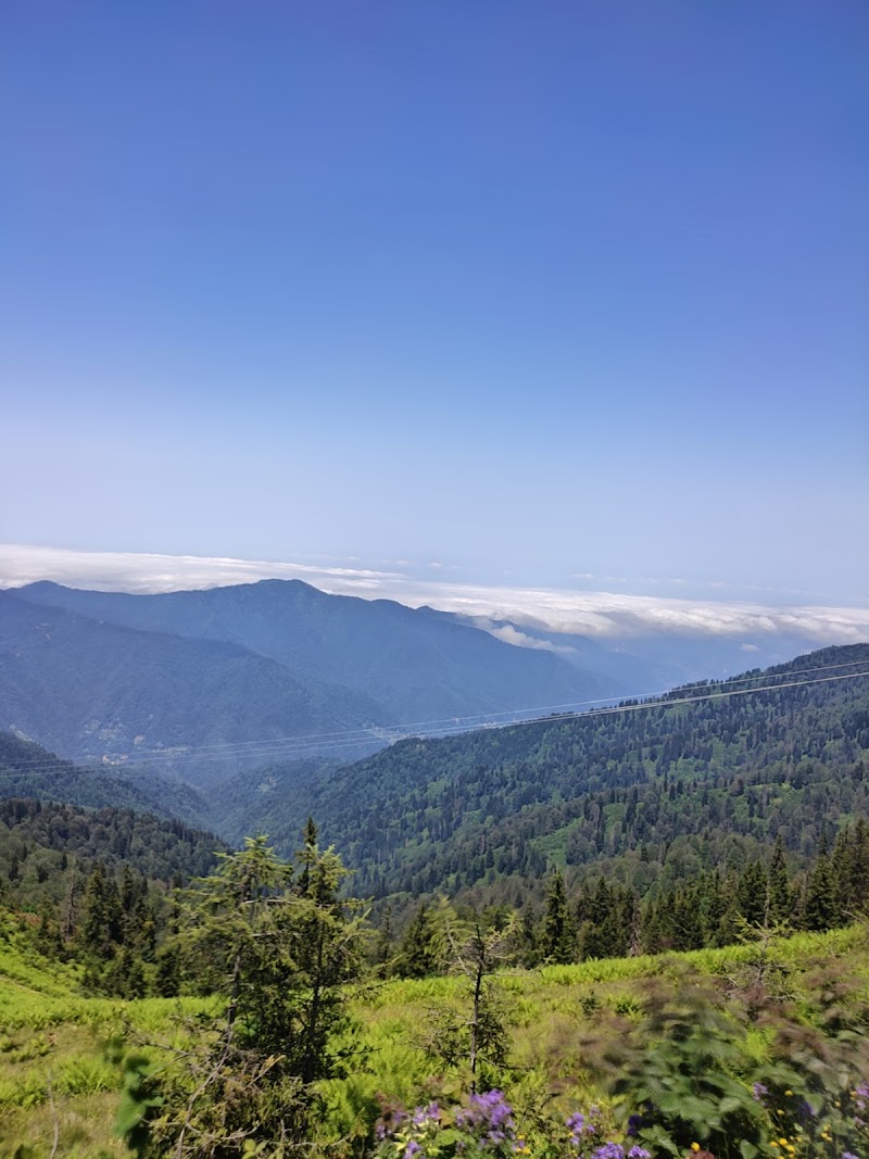POKUT - POKUT Pokut Yaylası, 53780 Ortanköy/Çamlıhemşin/Rize, Türkiye
