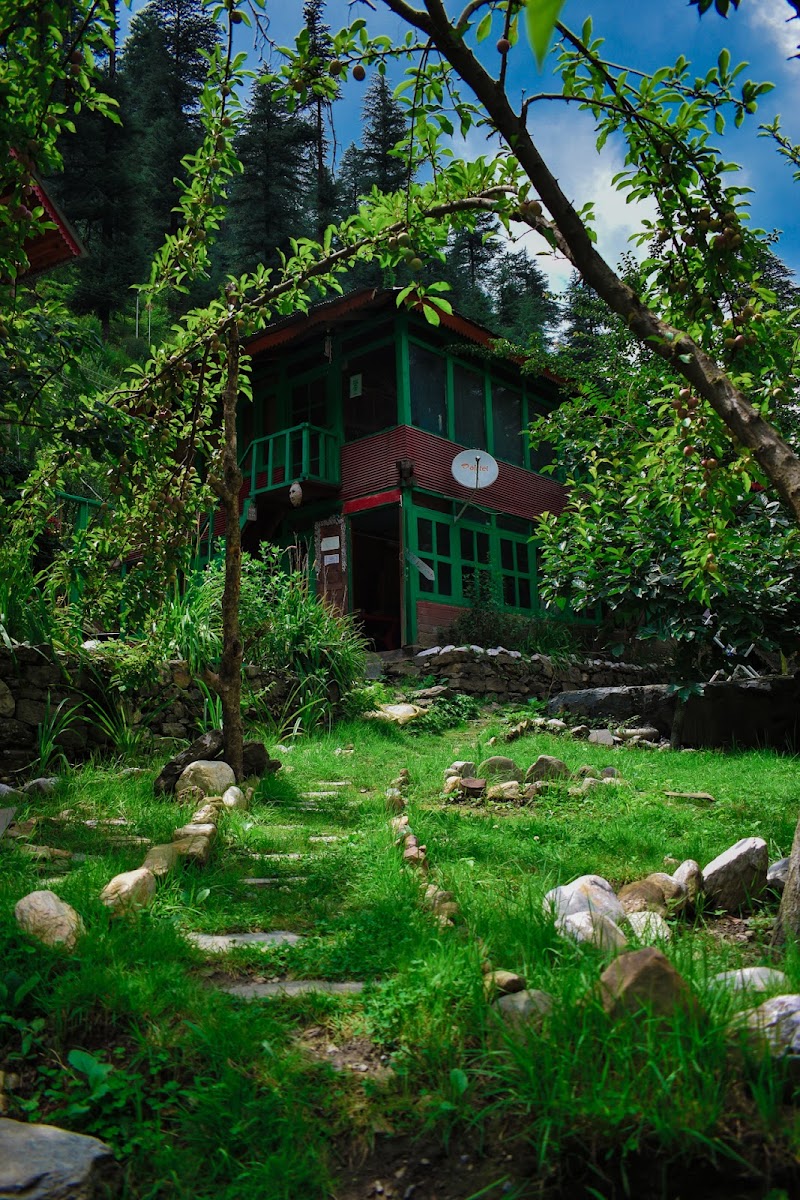 Dannyyy's Riverside Cottage - Dannyyy's Riverside Cottage Dannyyy’s Riverside Cottage, Gadagushaini, Jibhi, Tandi, Himachal Pradesh 175123, India