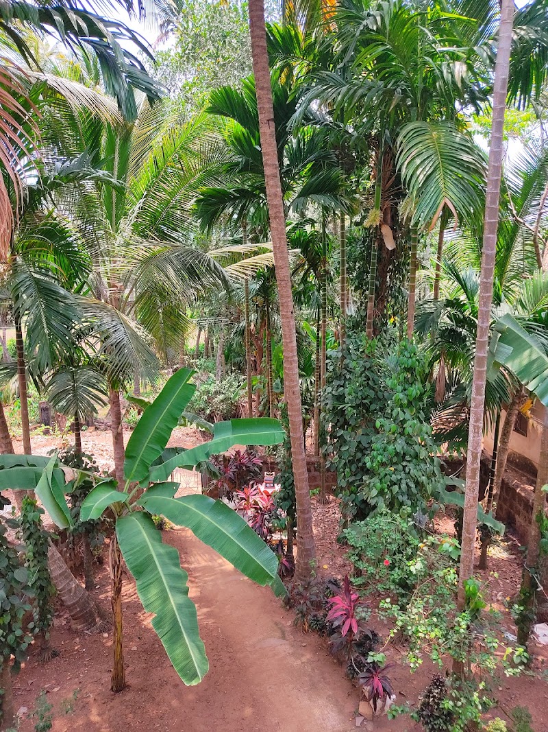 Into the Nature Homestay - Into the Nature Homestay H. No 518 Kolser, Galgibaga, KOLSAR, Canacona, Poingunin, Goa 403702, India