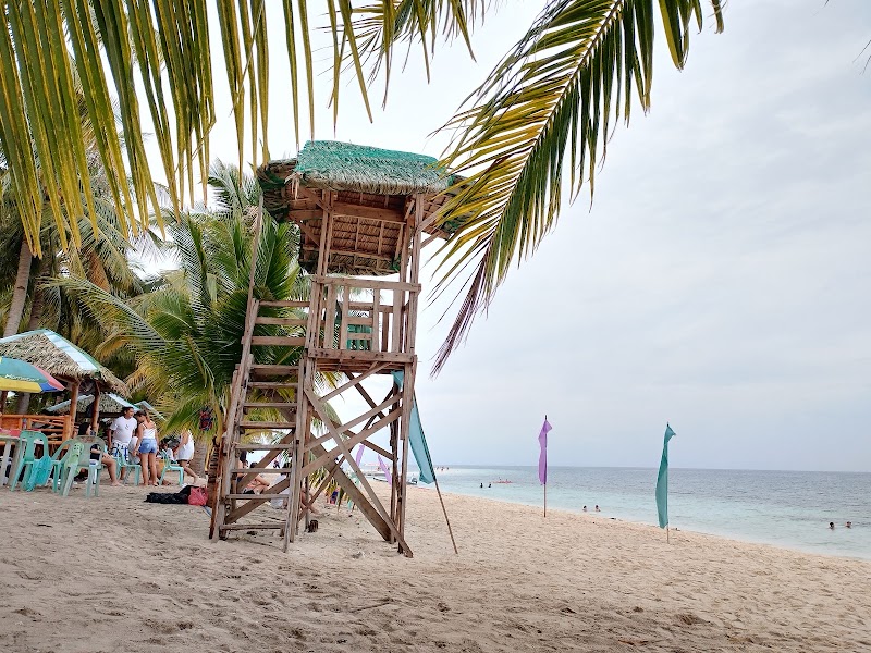 Kalanggaman Island Tours - Kalanggaman Island Tours, Blend My Tea Bar, Mabini St, Palompon, 6538 Leyte, Philippines