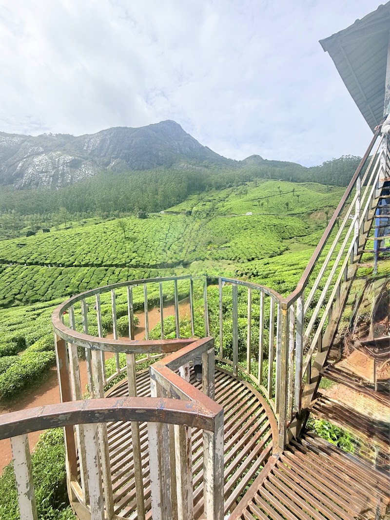 Munnar Tea Trail Tour - Munnar Tea Trail Tour Lockhart Tea Factory Rd, Devikulam, Kerala 685613, India