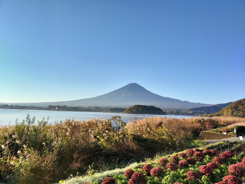 Oishi Park - Oishi Park ２５２５番地の１１先 Ōishi, Fujikawaguchiko, Minamitsuru District, Yamanashi 401-0305, Japan