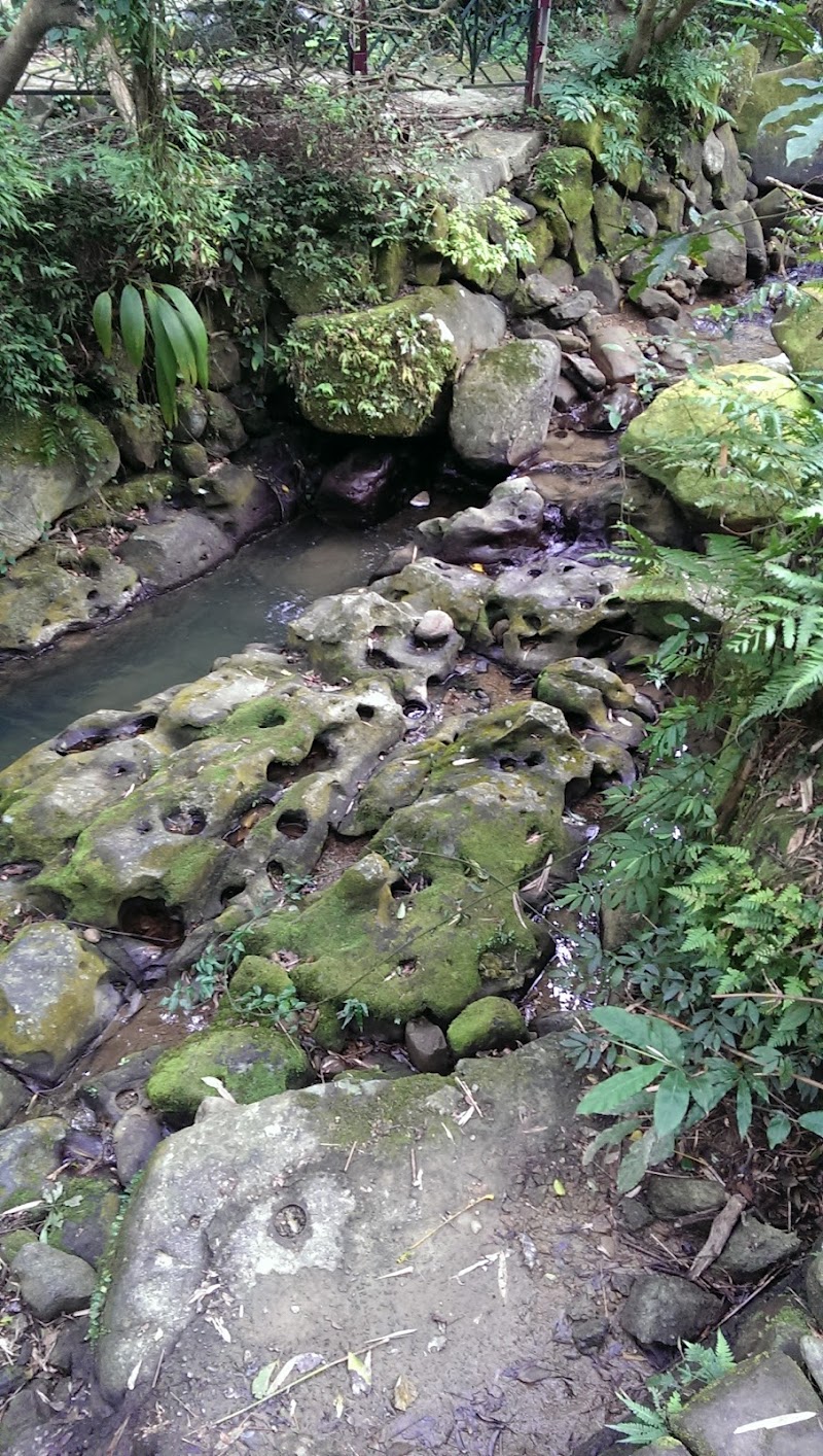 貓空觀光茶園 - 貓空觀光茶園, Wenshan District, Taipei City, Taiwan 116