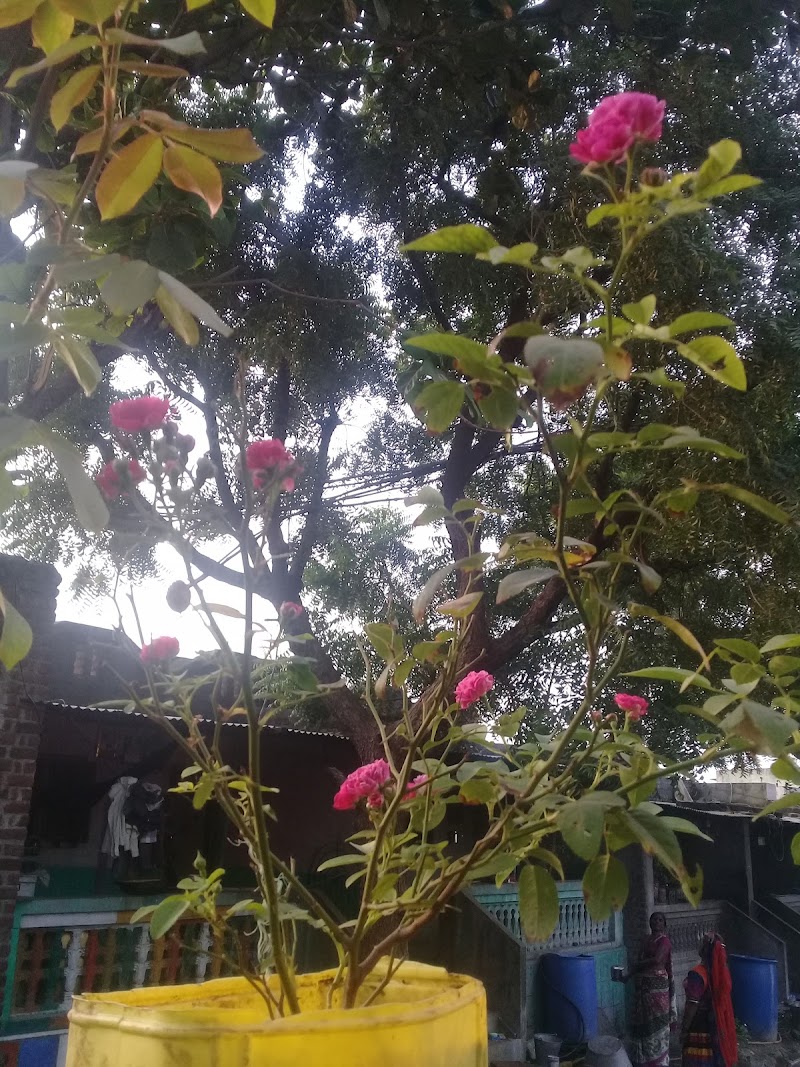 Nagad - Nagad Nagad, Maharashtra 431103, India
