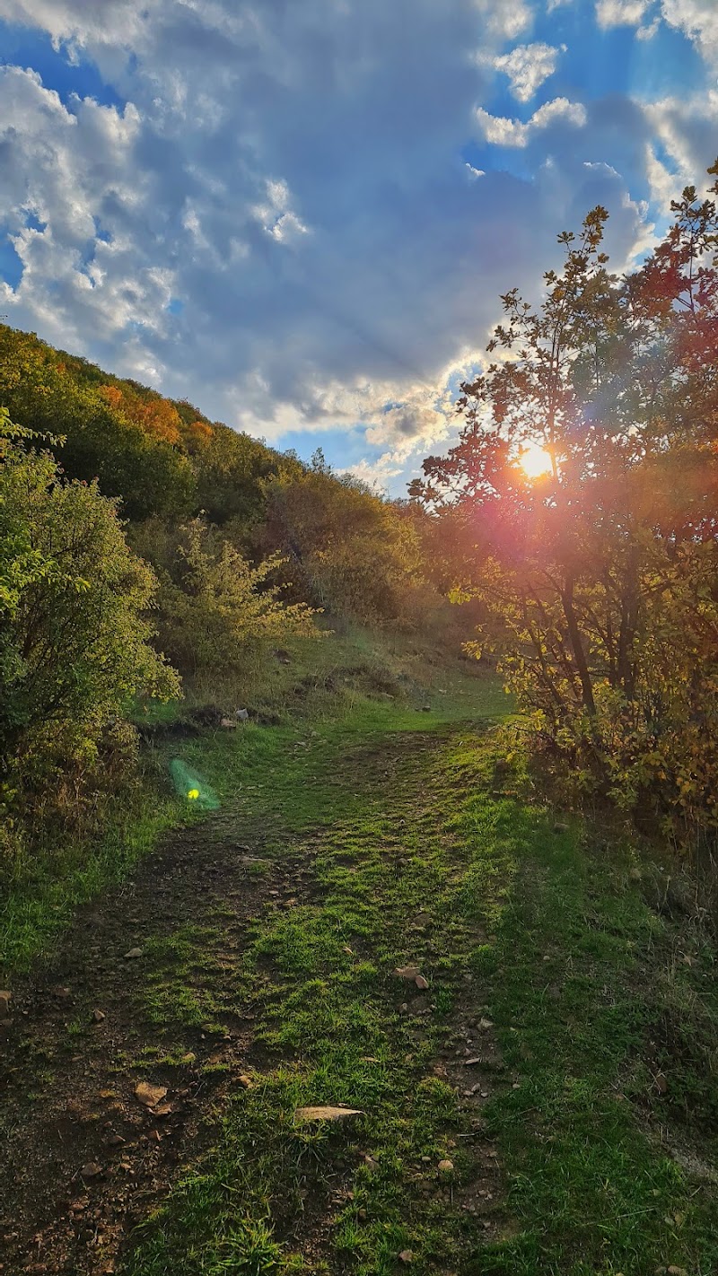Fındıqlı - Fındıqlı, East Azerbaijan Province, Bohal, جاده روستای بهل، 976C+JPQ, Iran