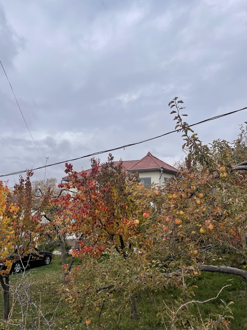 Lake House - Lake House, 19 Auezova, Cholpon-Ata 722125, Kyrgyzstan