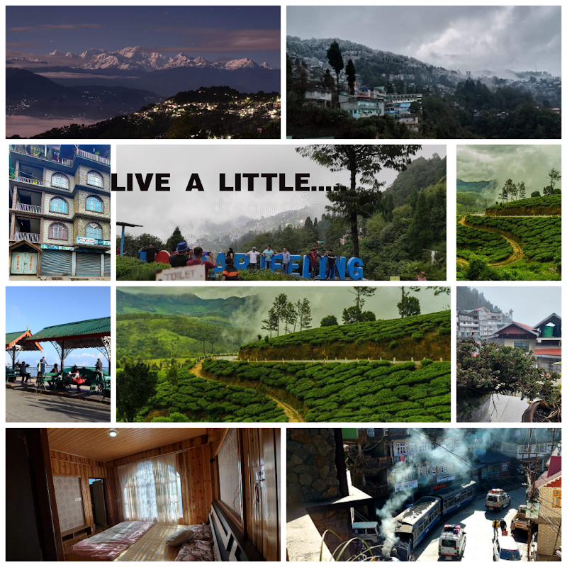 BITTA INN HOMESTAY - BITTA INN HOMESTAY Merry Villa, near Maruti Suzuki Show, Rajbari, Darjeeling, West Bengal 734101, India