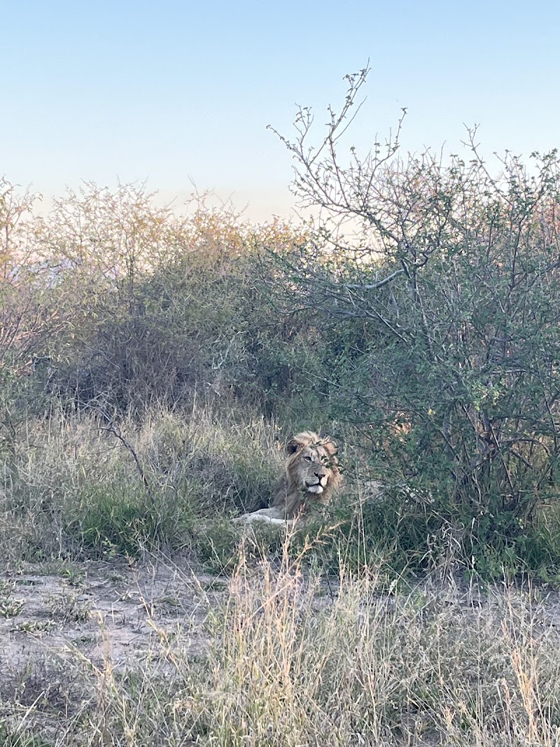 Balule Nature Reserve - Balule Nature Reserve, PWG2+53, 1380, South Africa
