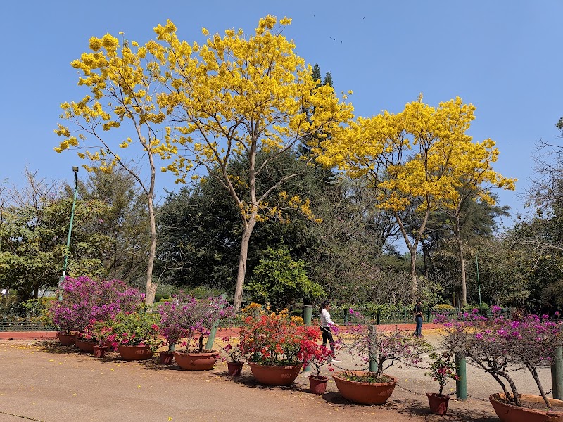 Ring wood circle cubbon park - Ring wood circle cubbon park Cubbon Park Rd, Nunegundlapalli, Ambedkar Veedhi, XHFR+QG3, Nunegundlapalli, Sampangi Rama Nagara, Bengaluru, Karnataka 560001, India