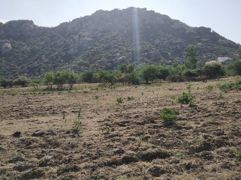 Devgiri Temple - देवगिरि माता जी का मंदिर - Devgiri Temple - देवगिरि माता जी का मंदिर, Devgiri hills, gaon, near Mori, Sena, Jawai Bandh, Rajasthan 306126, India