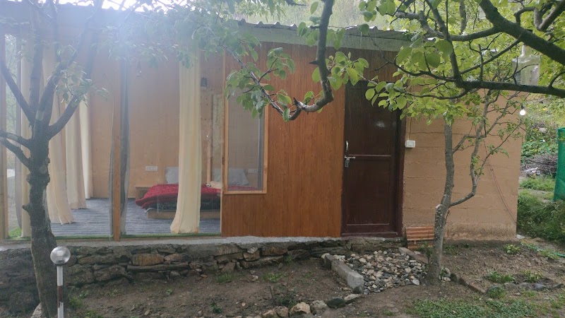 The Acoustic cabins jibhi - The Acoustic cabins jibhi Acoustic cabins jibhi NH305, Sar, Jibhi, Bini, Himachal Pradesh 175123, India