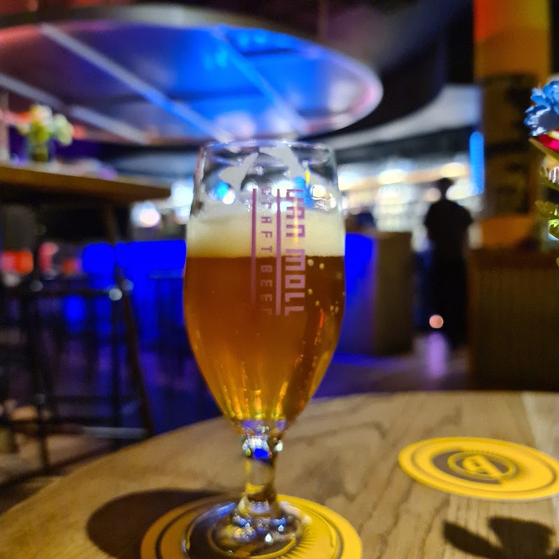 Van Moll - Van Moll Keizersgracht 16A, 5611 GD Eindhoven, Netherlands