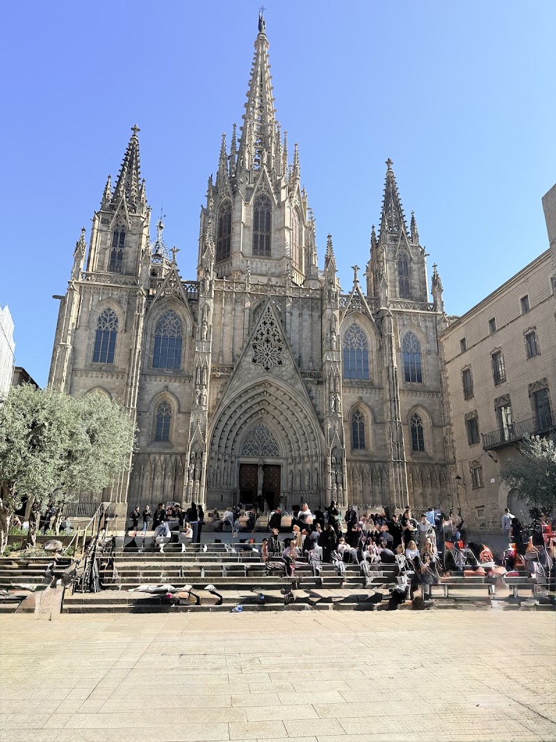 DonkeyTours Barcelona - DonkeyTours Barcelona, Plaça Nova, 2, bajos izquierda, Ciutat Vella, 08002 Barcelona, Spain