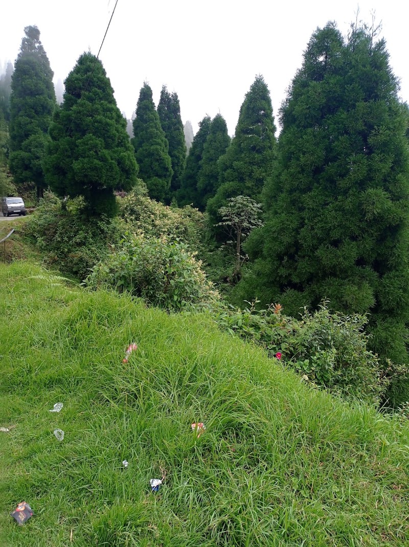 Lepchajagat Pine View - Lepchajagat Pine View 257W+4VG, Rishi Rd, Ghoom Pahar Forest, West Bengal 734221, India