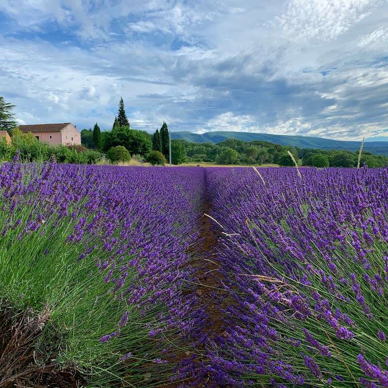 Luberon - Luberon, 84560 Ménerbes, France
