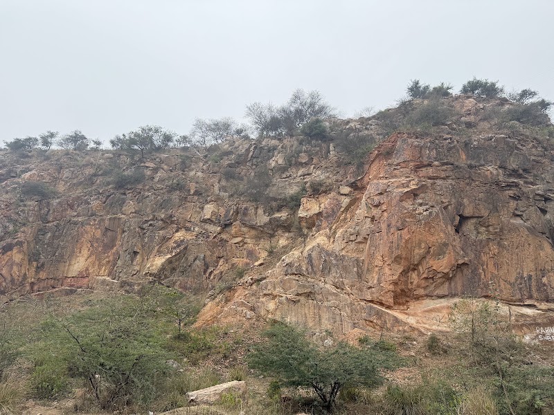 Leopard Trail View - Leopard Trail View 9X5W+7VW, Gurugram, Haryana 122101, India