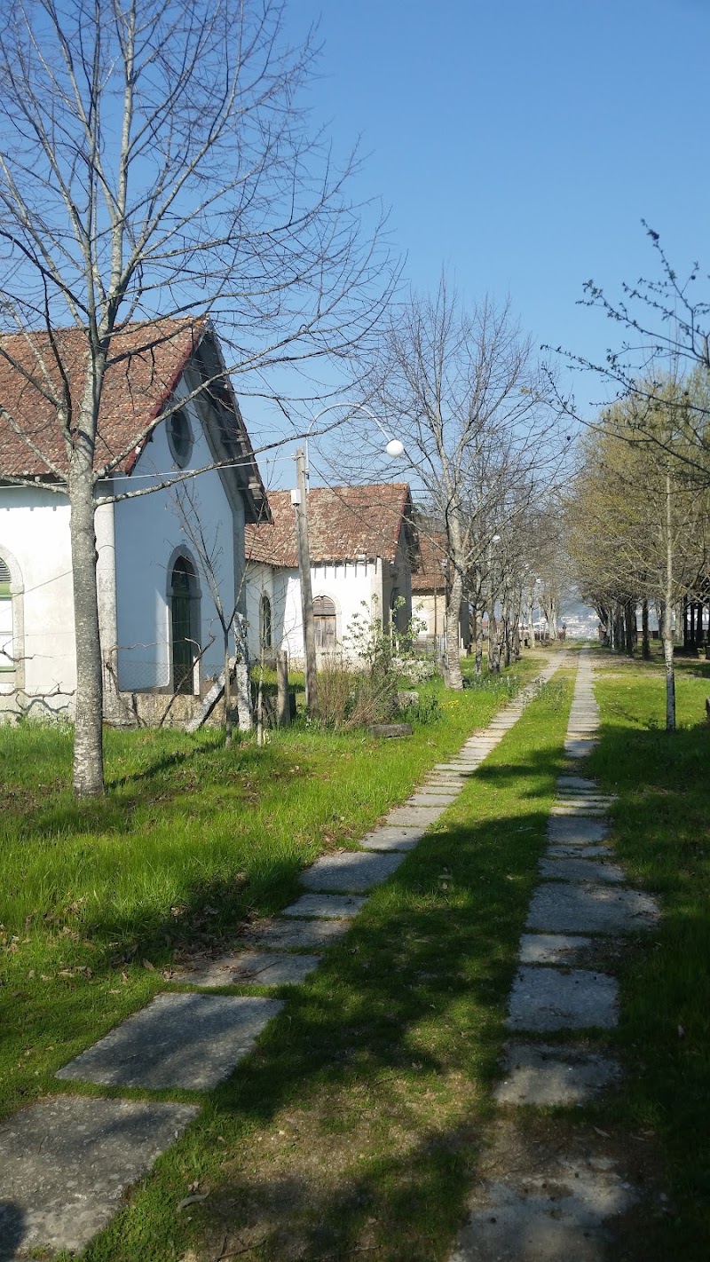 Parque das Tílias - Parque das Tílias Castelo de Paiva, Portugal