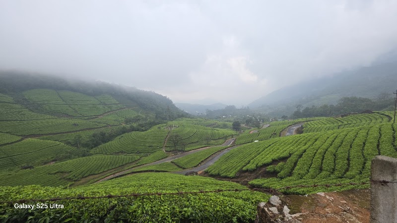 Munnar jeep safari hub - Munnar jeep safari hub Moolakadai, Munnar, Kerala 685612, India
