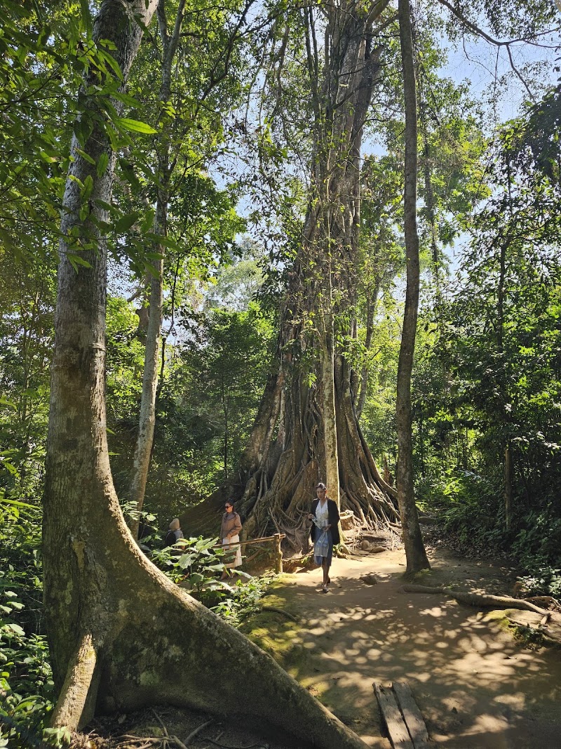 Kuang Si Waterfall - Kuang Si Waterfall, Laos