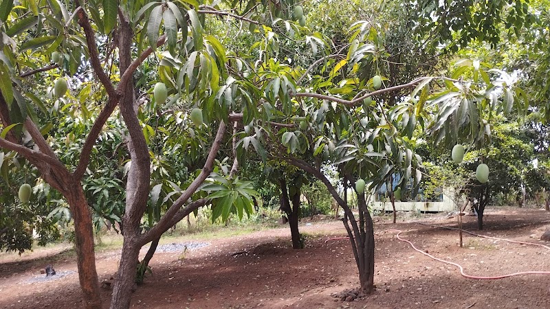 Raigad Farms and Resort - Raigad Farms and Resort Awasare Maniwali Road, Near Hiraji Patil Samarak Village Maniwali, Karjat - Murbad Rd, Neral, Maniwali, Maharashtra 410101, India