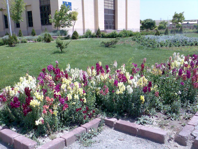 Faculty of Basic Sciences - Faculty of Basic Sciences, 676W+2GF, Ardabil, Ardabil Province, Iran