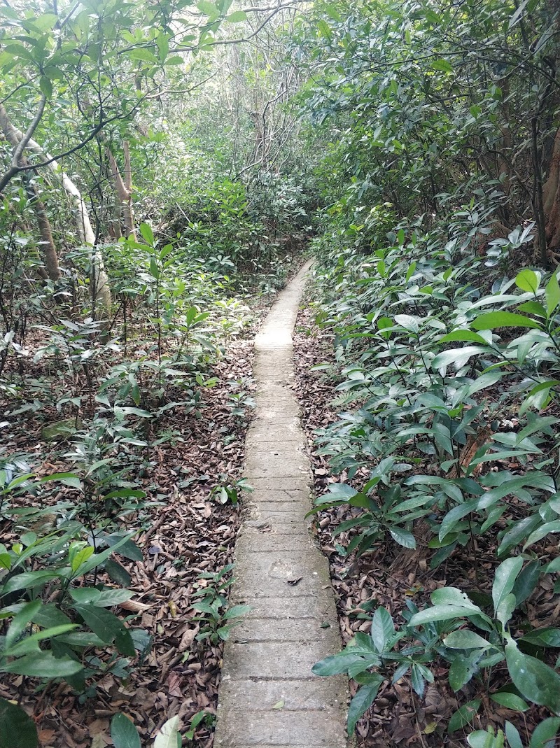 Tai Wan - Tai Wan, Sai Kung, New Territories, Hong Kong