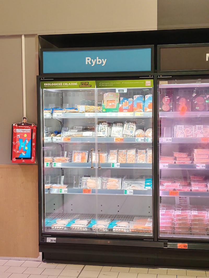 Kaufland - Kaufland 1b, Pod Paťankou 2743, Podbaba, 160 00 Praha-Praha 6, Czechia