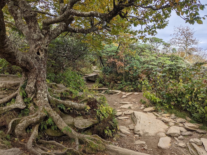 Craggy Pinnacle Trail - Craggy Pinnacle Trail 3641 Blue Ridge Pkwy, Barnardsville, NC 28709, USA