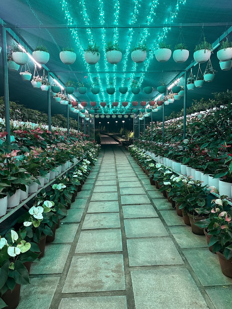 Vagamon Flower Garden - Vagamon Flower Garden Adventure Park, Vedikuzhi, Vagamon, Keralam 685501, India