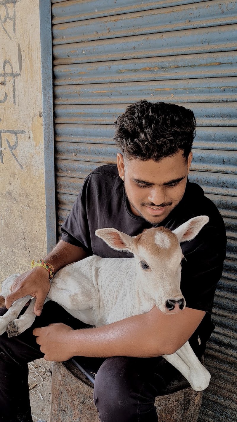 Gau seva hathnewra - Gau seva hathnewra, XMQH+5M8, Hathnewra, Chhattisgarh 495671, India