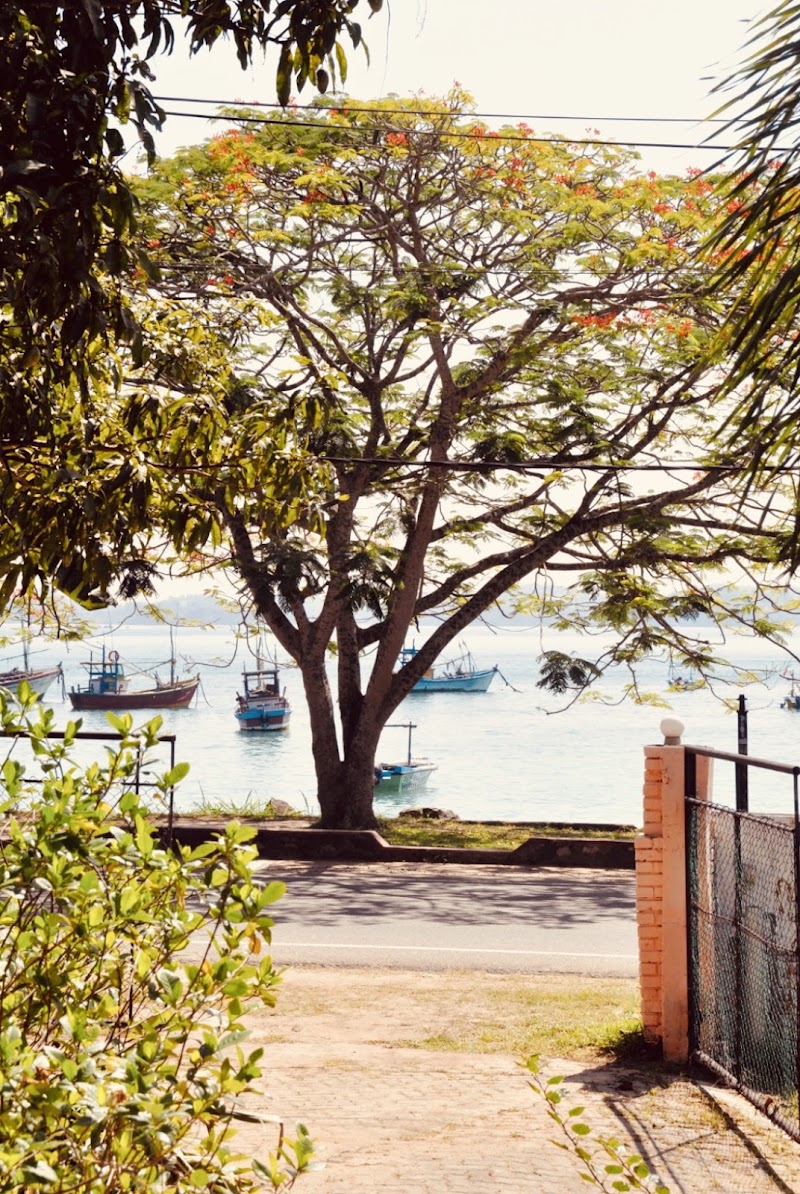 Weligama Bay Rest house - Weligama Bay Rest house, kapparathota, Weligama 81700, Sri Lanka
