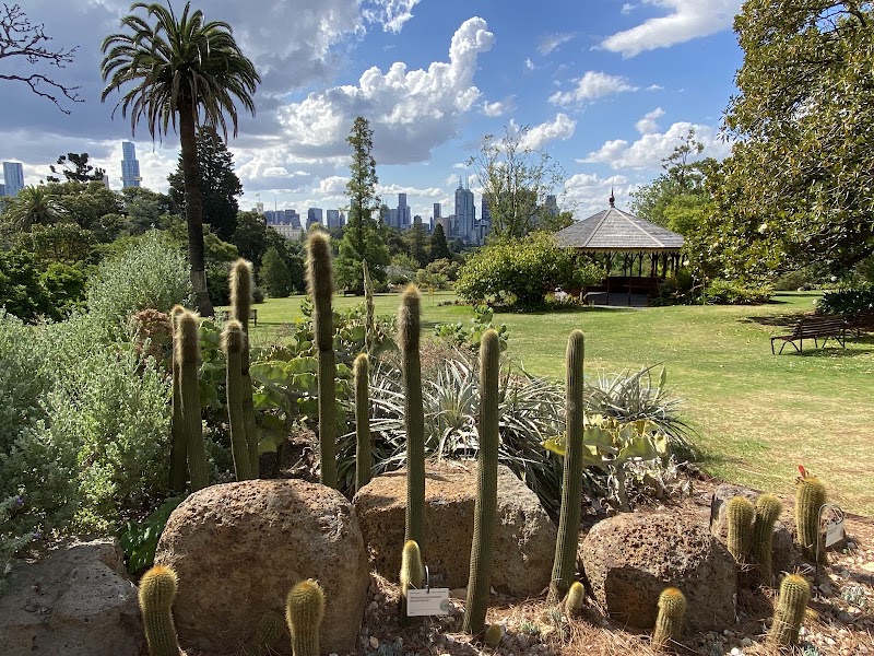 Royal Botanic Gardens Victoria - Melbourne Gardens - Royal Botanic Gardens Victoria - Melbourne Gardens, Melbourne VIC 3004, Australia