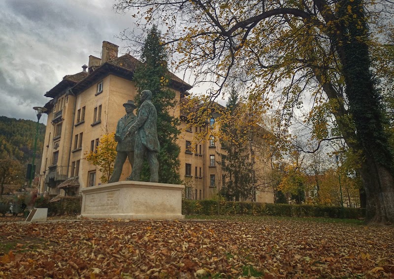 Bust of Ciprian Porumbescu - Bust of Ciprian Porumbescu, Granite-Schei, Brașov, Romania