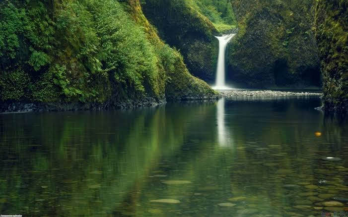 Columbia River Gorge National Scenic Area - Columbia River Gorge National Scenic Area, Oregon, USA