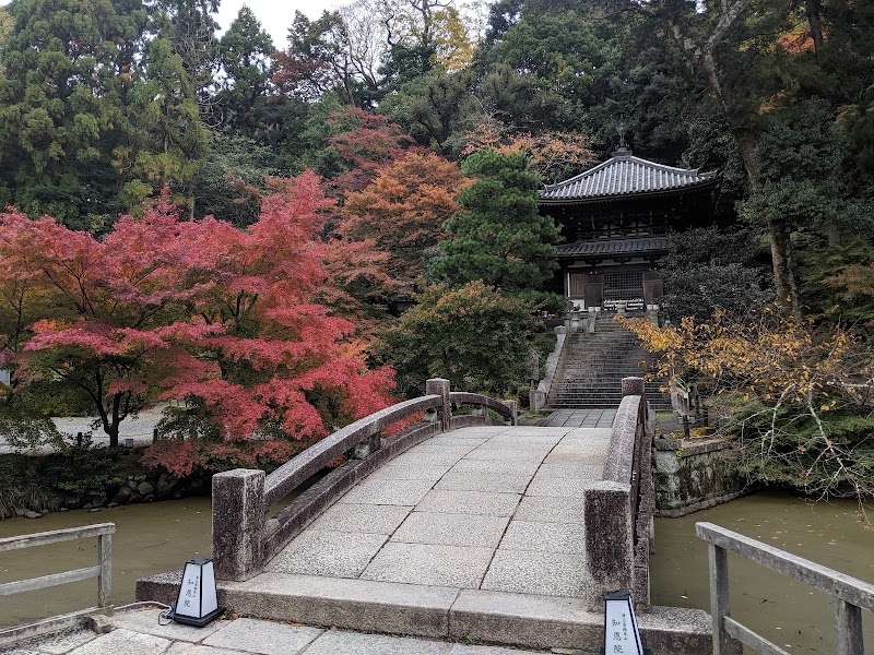 Maruyama Park - Maruyama Park Maruyamacho, Higashiyama Ward, Kyoto, 605-0071, Japan