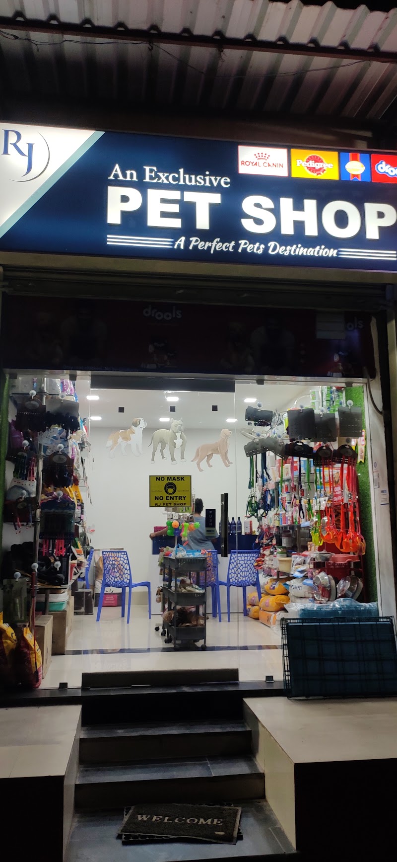 RJ AN EXCLUSIVE PET SHOP - RJ AN EXCLUSIVE PET SHOP, T.V Tower Road Side Of, Shop No.1, Mukherjee Complex, Bsnl Colony, Raigarh, Chhattisgarh 496001, India