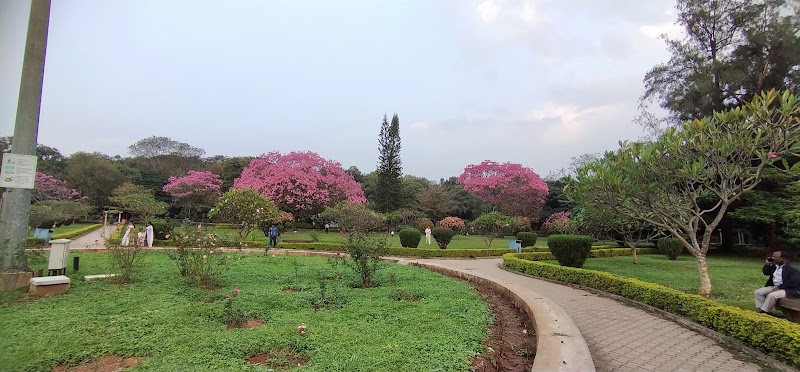 Ring wood circle cubbon park - Ring wood circle cubbon park Cubbon Park Rd, Nunegundlapalli, Ambedkar Veedhi, XHFR+QG3, Nunegundlapalli, Sampangi Rama Nagara, Bengaluru, Karnataka 560001, India