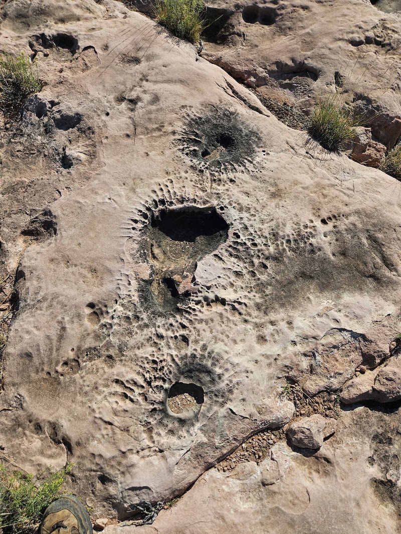 Toroweap Overlook - Toroweap Overlook, Littlefield, AZ 86432, USA