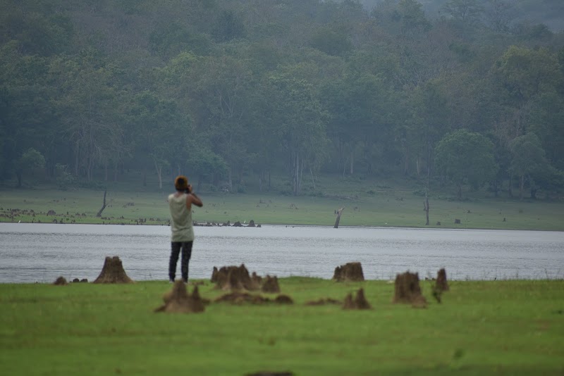 KABINI RIVER VIEW POINT - KABINI RIVER VIEW POINT V43C+HXF, Kadegadde, Karnataka 571114, India