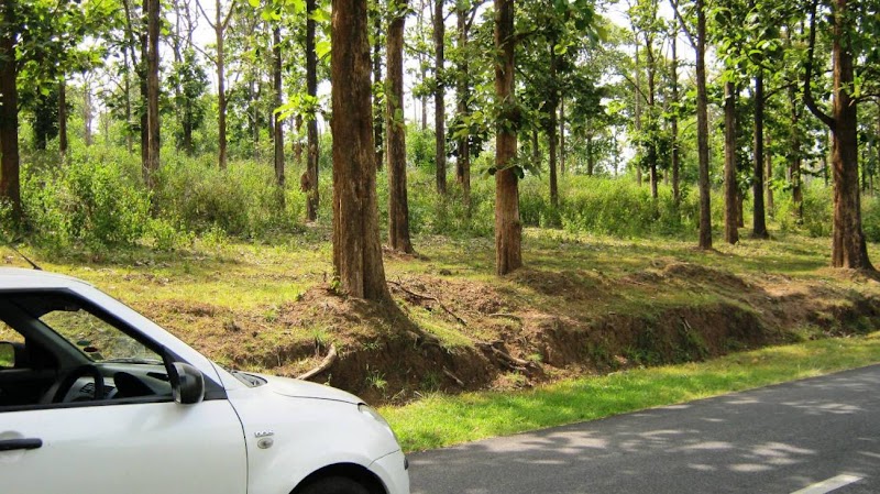 Wayanad Wildlife Santuray - Wayanad Wildlife Santuray W23F+GRQ, Thirunelly Rd, Kerala 670646, India