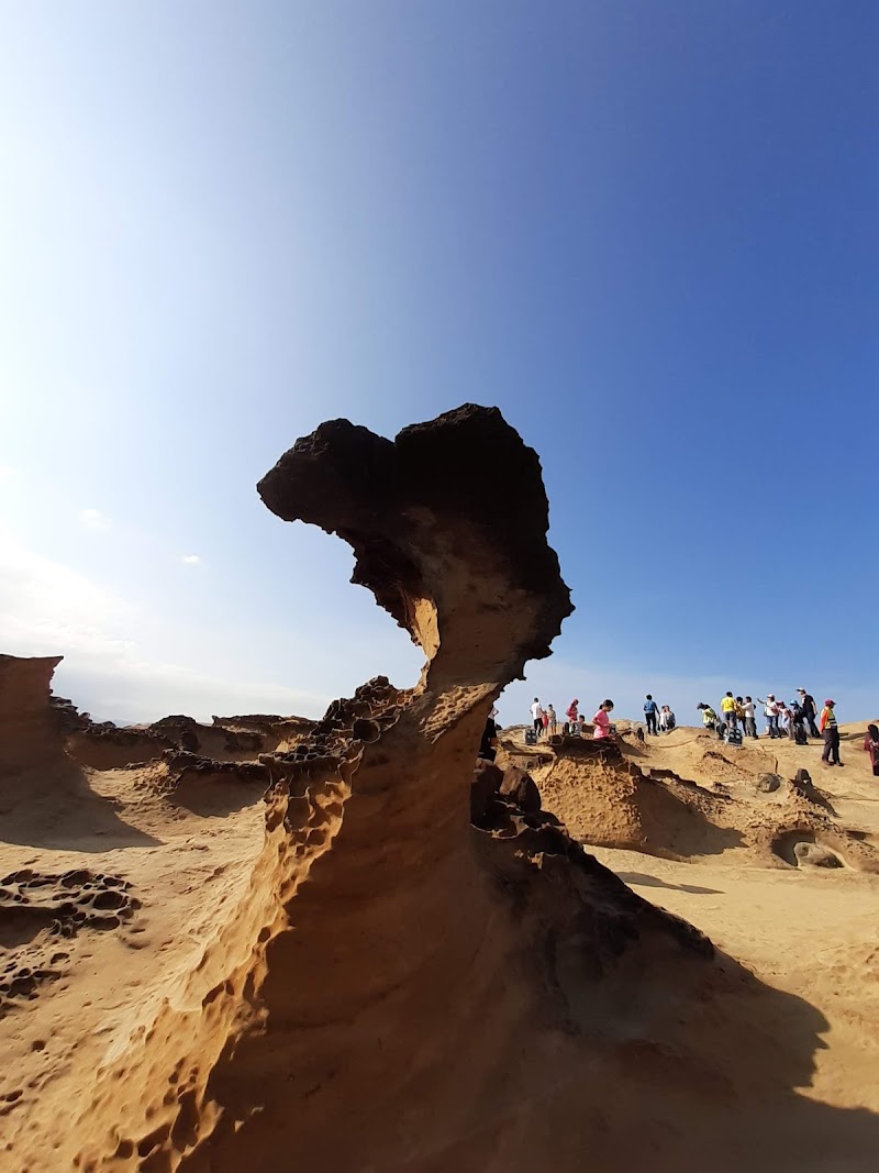 Yeliu Geology Park - Yeliu Geology Park, Wanli District, New Taipei City, Taiwan 207