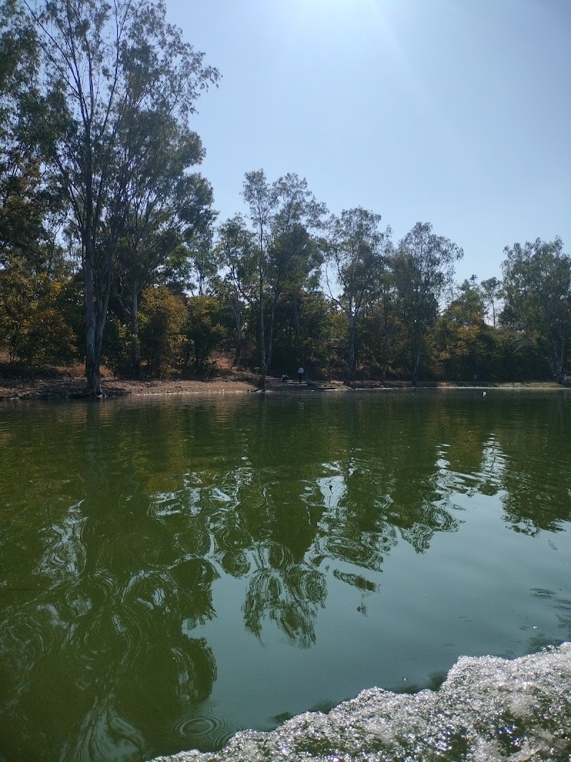 Ghongha (Kori) Dam destination - Ghongha (Kori) Dam destination, Parsada, Chhattisgarh 495113, India