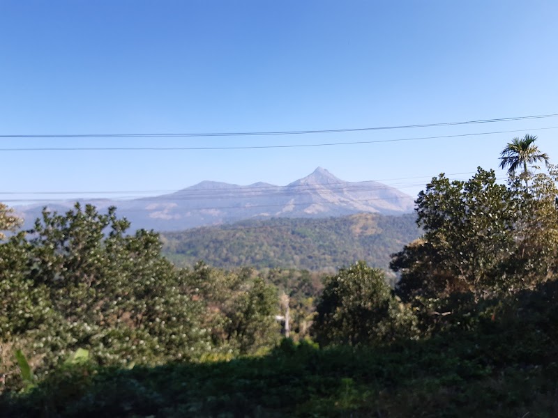 Trans India Holidays - Trans India Holidays, 18, Community Centre, Kailash Colony, Zamrudpur, Greater Kailash, New Delhi, Delhi 110048, India