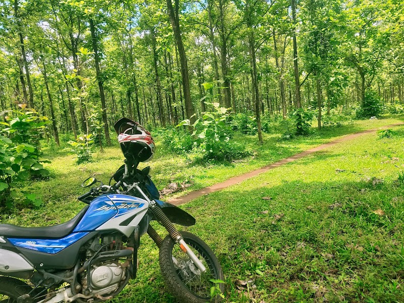 Nilambur - Nilambur, Kerala, India