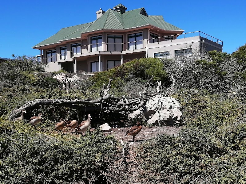 Betty's Bay - Betty's Bay, 7141, South Africa