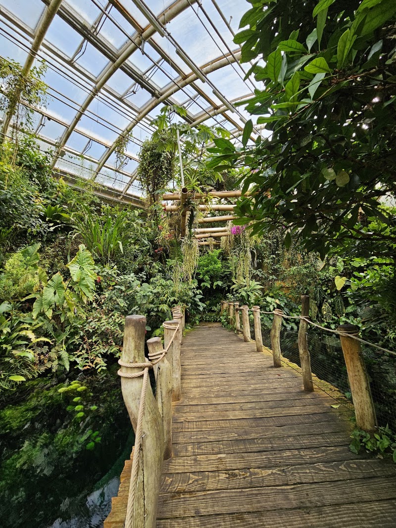 Botanická zahrada Praha - Pokladna Bohnice (hlavní vstup) - Botanická zahrada Praha - Pokladna Bohnice (hlavní vstup), K Pazderkám, 181 00 Praha 8, Czechia