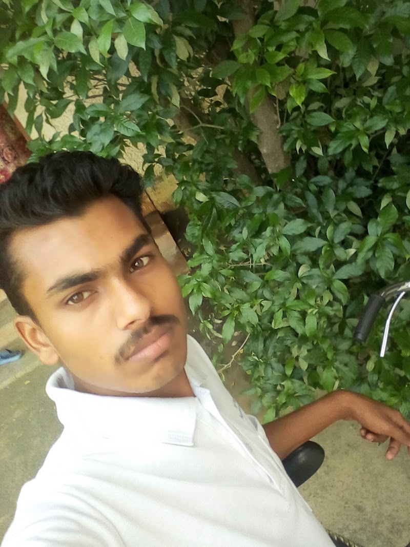 Pt. Ramnarayan Shastri Bal Udyan - Pt. Ramnarayan Shastri Bal Udyan, 3595+4GP, Vidya Nagar Rd, Vidya Nagar, Chhattisgarh 495004, India