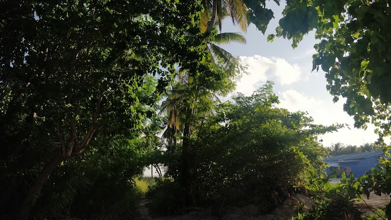 Akiri Surf Retreat - Akiri Surf Retreat Dhanduthere magu Thulusdhoo, Thulusdhoo 08040, Maldives